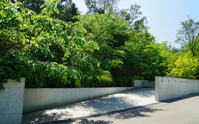 Benesse Art Site Naoshima
