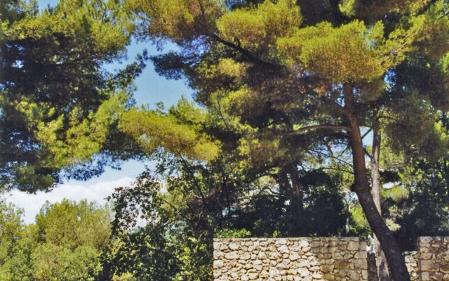 Fondation Maeght