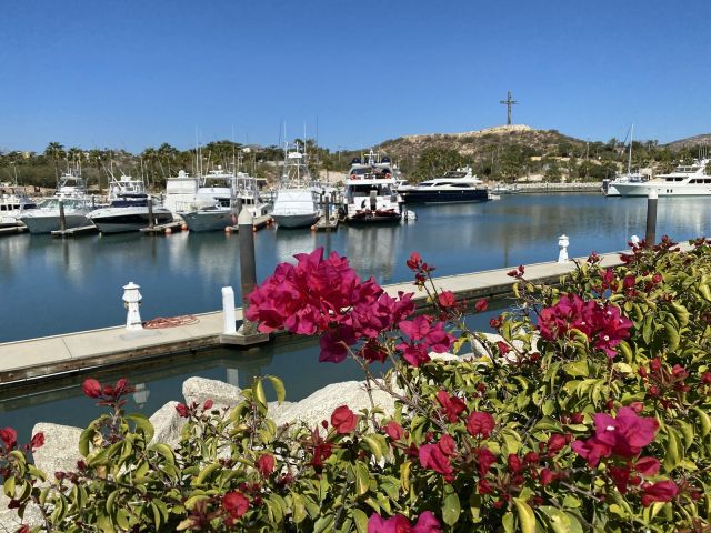 Marina Puerto Los Cabos