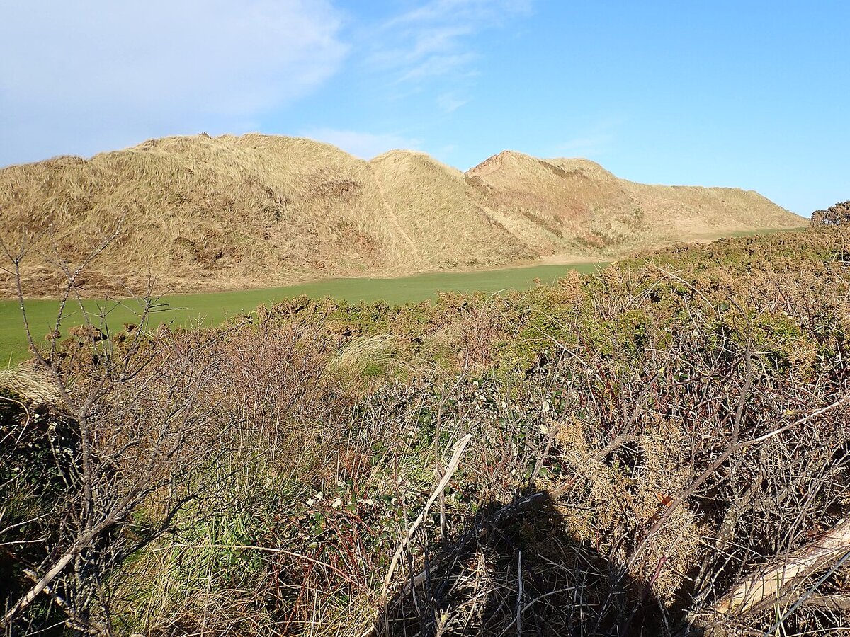 Royal County Down (Championship)